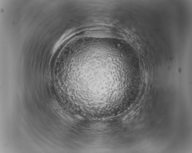 X0000057090198200509091322