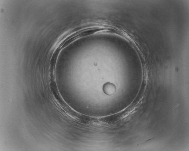 X0000057090199200509091322