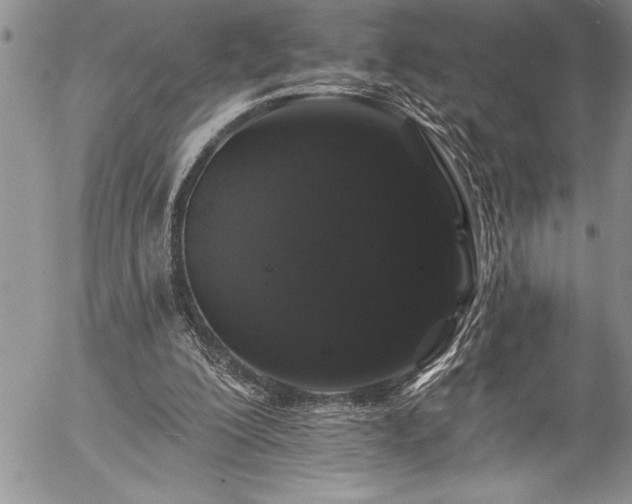 X0000057090200200509091322