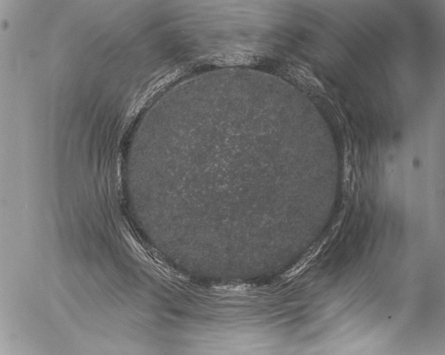 X0000057090202200509091322