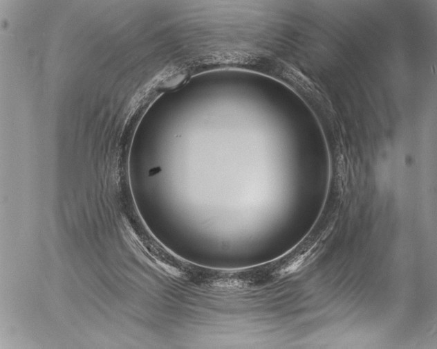 X0000057090203200509091322