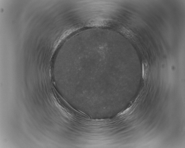 X0000057090204200509091322