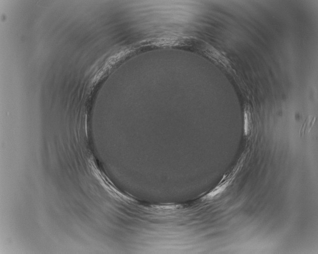 X0000057090205200509091322