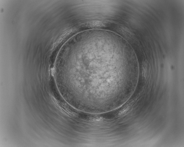 X0000057090206200509091322