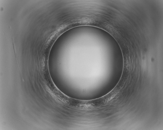 X0000057090208200509091322