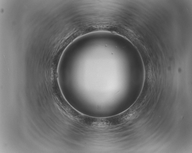 X0000057090211200509091322