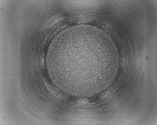 X0000057090214200509091322