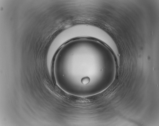 X0000057090215200509091322