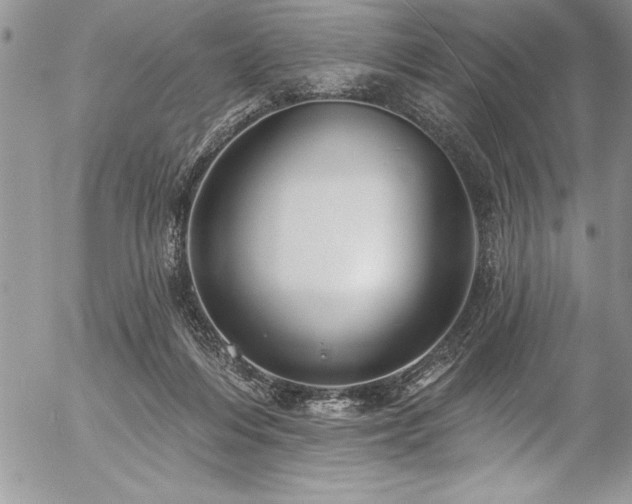 X0000057090216200509091322