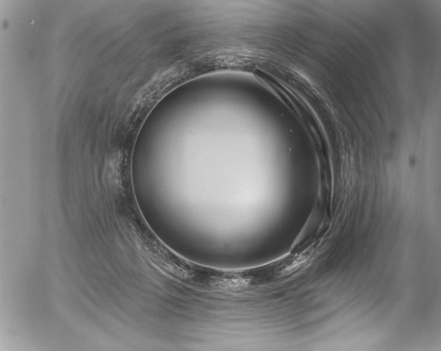 X0000057090217200509091322