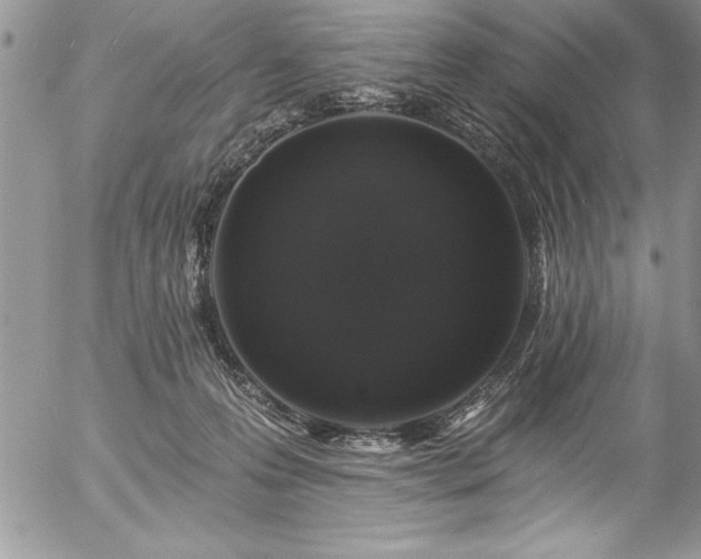 X0000057090223200509091322