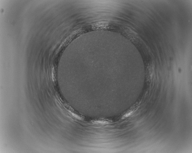 X0000057090224200509091322