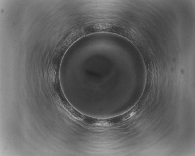 X0000057090227200509091322