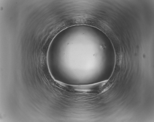 X0000057090228200509091322