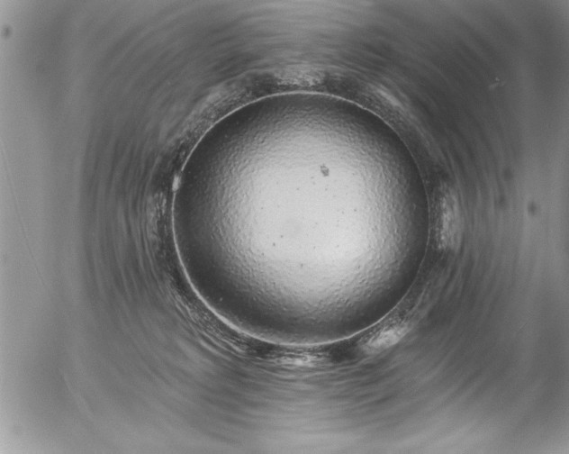 X0000057090229200509091322