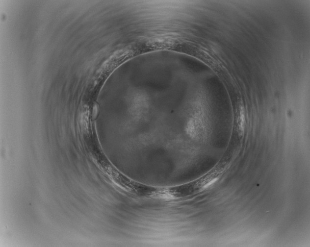 X0000057090231200509091322