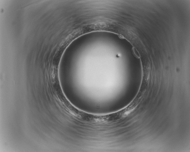 X0000057090232200509091322