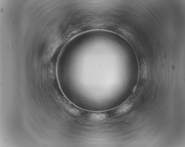 X0000057090234200509091321