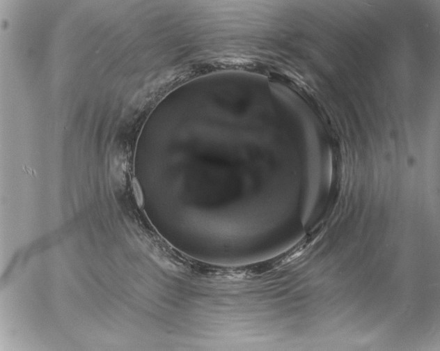 X0000057090235200509091321