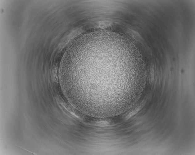 X0000057090236200509091321