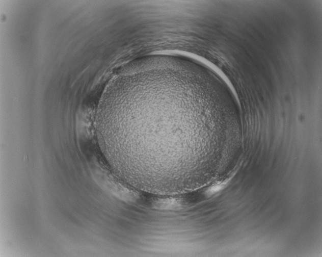 X0000057090237200509091321