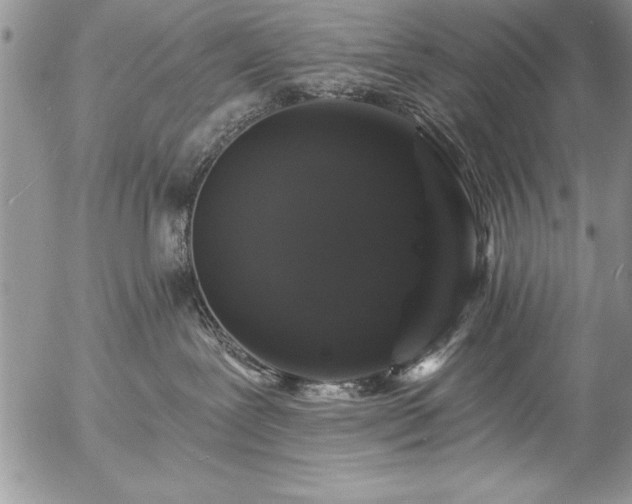 X0000057090239200509091321