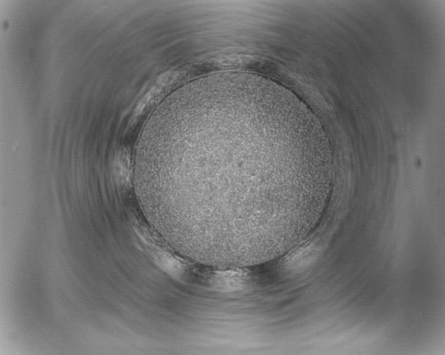 X0000057090240200509091321