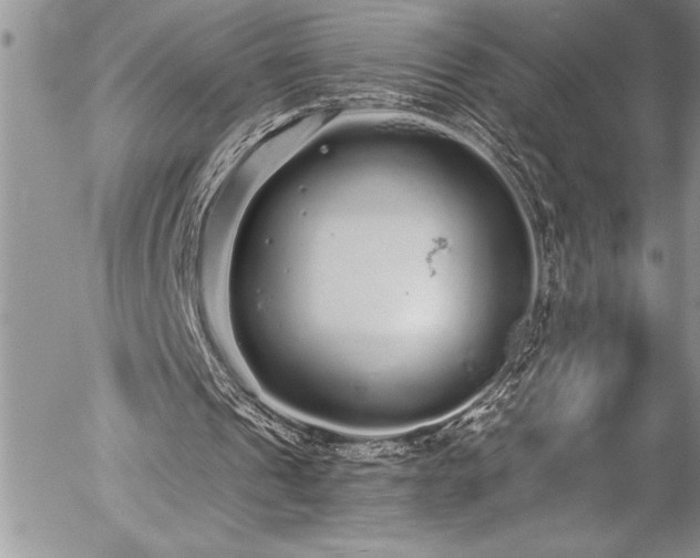 X0000057090241200509091321