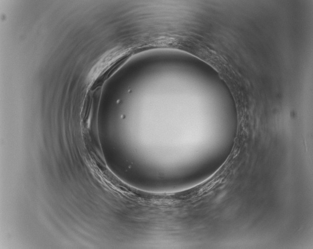 X0000057090242200509091321