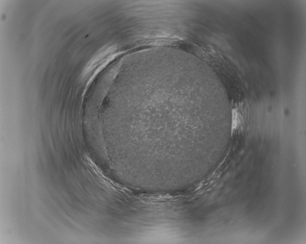 X0000057090243200509091321