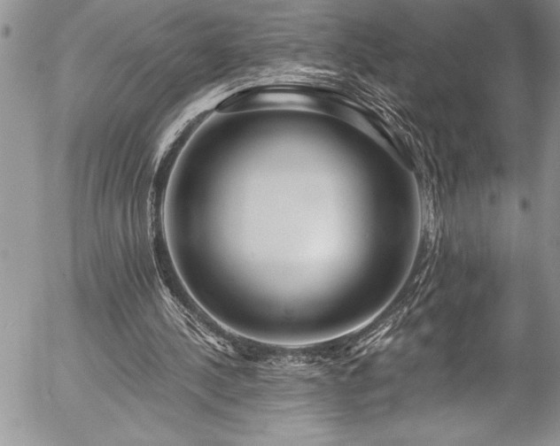 X0000057090244200509091321