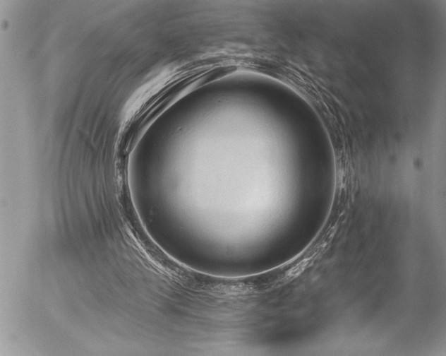 X0000057090245200509091321