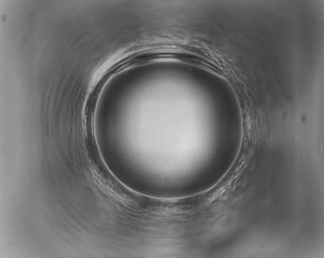 X0000057090246200509091321