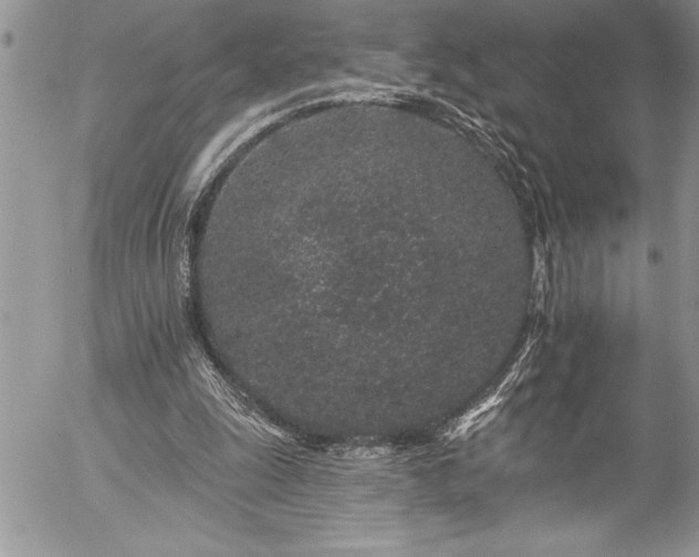 X0000057090247200509091321