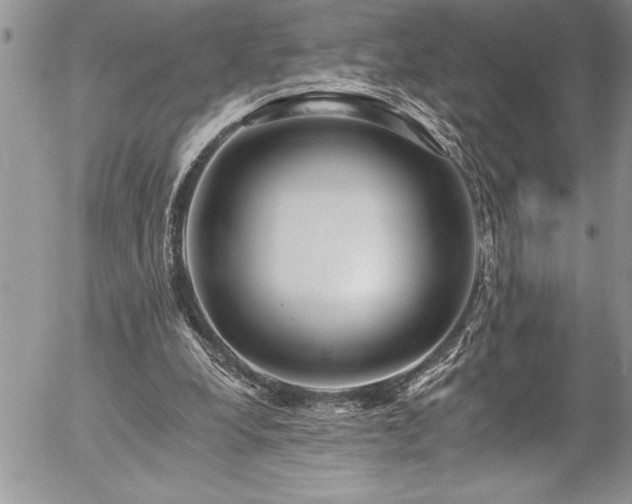 X0000057090248200509091321