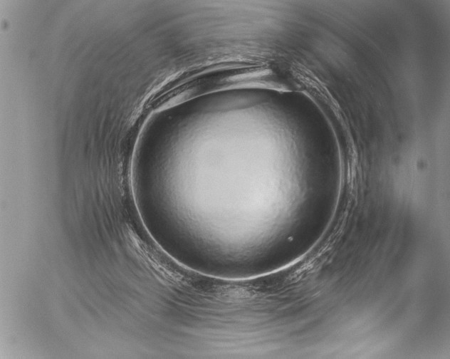 X0000057090249200509091321