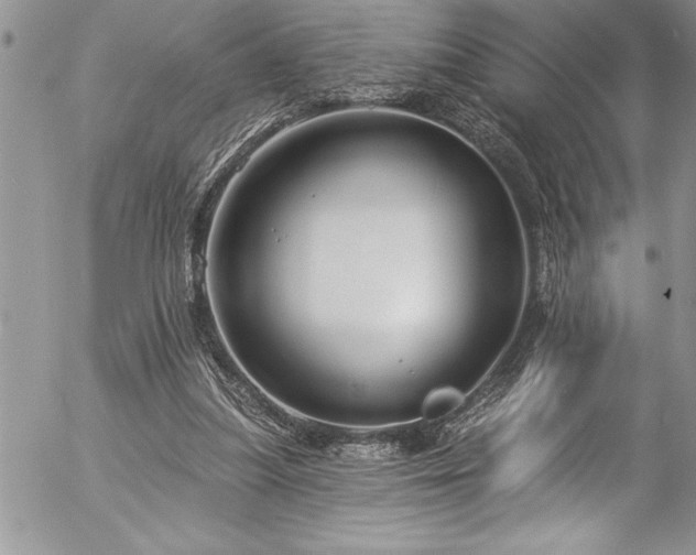 X0000057090251200509091321