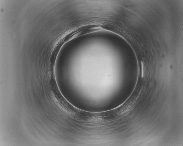 X0000057090252200509091321