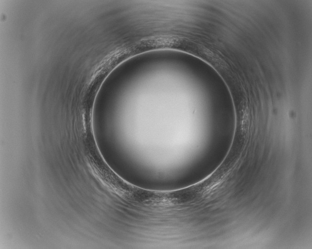 X0000057090254200509091321