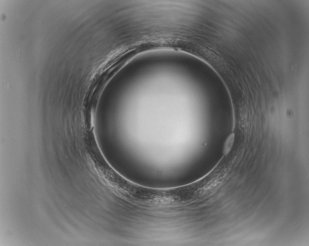 X0000057090256200509091321