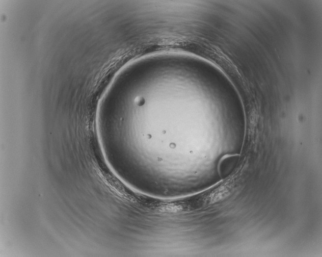 X0000057090257200509091321