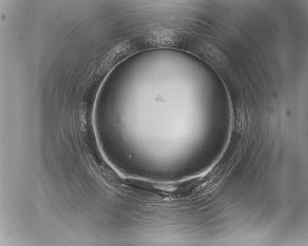 X0000057090259200509091321