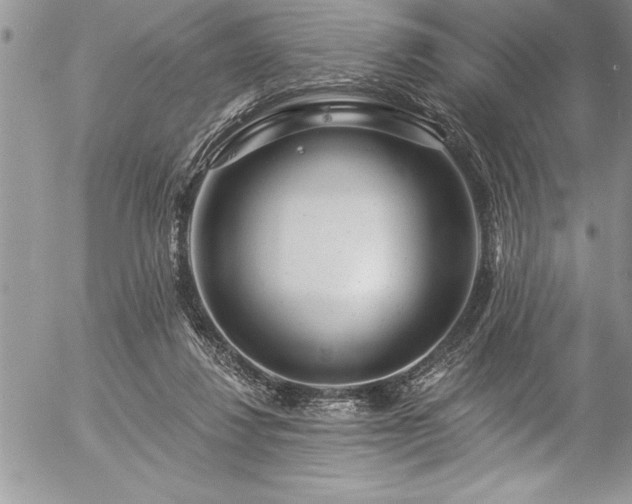 X0000057090260200509091321