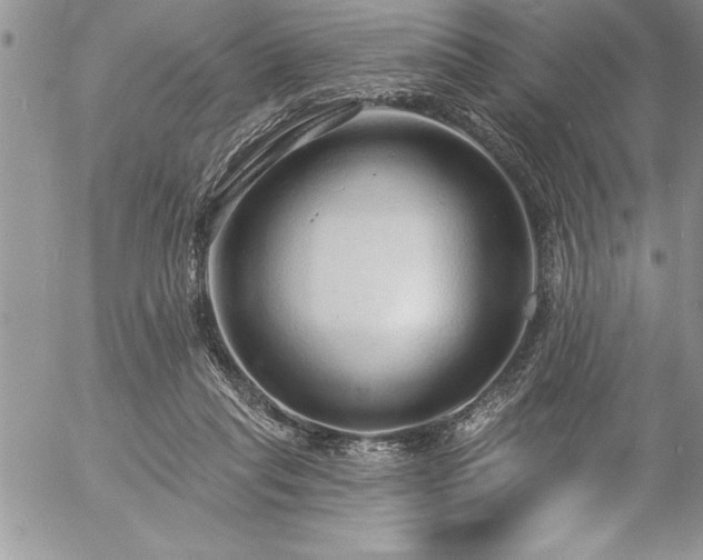 X0000057090261200509091321