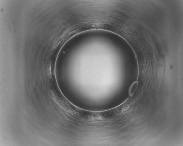 X0000057090262200509091321