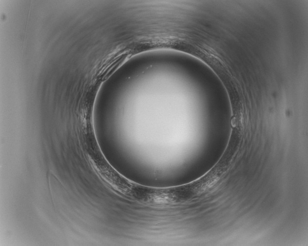 X0000057090264200509091321