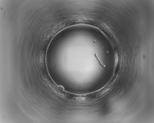 X0000057090265200509091321