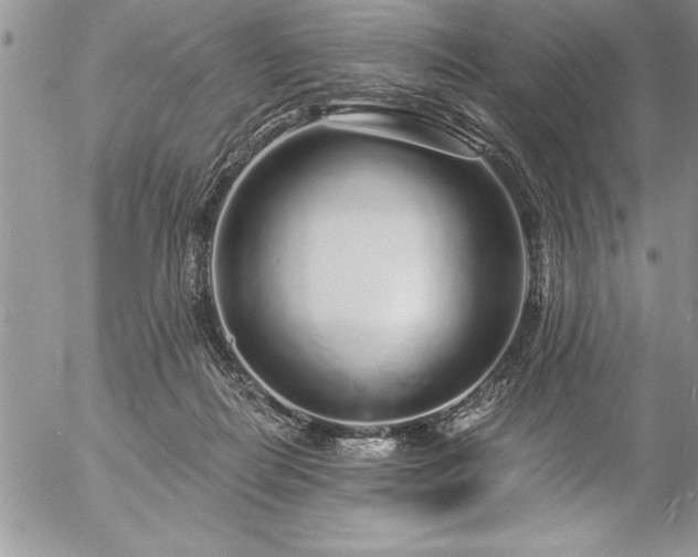 X0000057090266200509091321