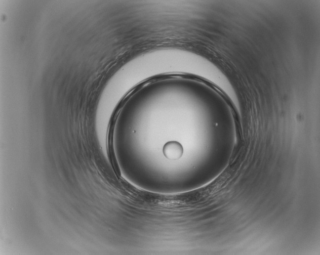 X0000057090268200509091321