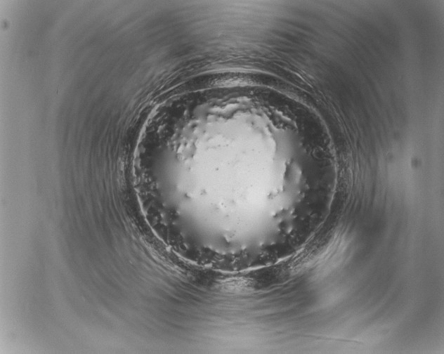 X0000057090269200509091321